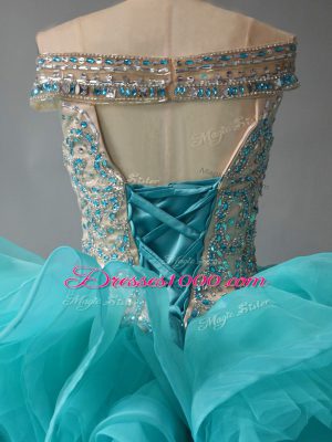 Unique Organza Sleeveless 15th Birthday Dress Brush Train and Beading and Ruffles