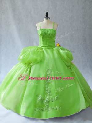 Organza Lace Up Quinceanera Dress Sleeveless Floor Length Appliques