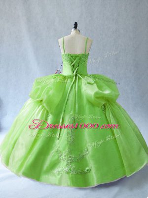 Organza Lace Up Quinceanera Dress Sleeveless Floor Length Appliques