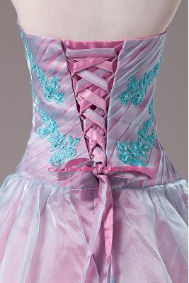 Fabulous Light Blue Organza Lace Up 15 Quinceanera Dress Sleeveless Floor Length Appliques