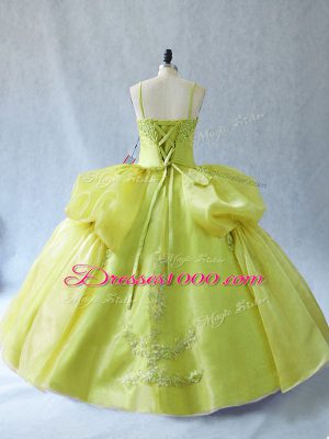 Straps Sleeveless Organza Quinceanera Dress Appliques Lace Up