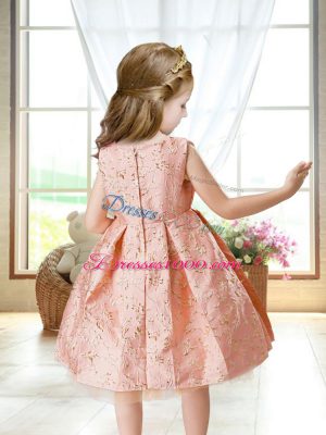 Pink Scoop Zipper Embroidery Pageant Dress for Girls Sleeveless