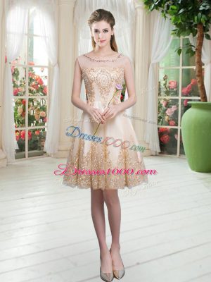 Knee Length A-line Sleeveless Champagne Prom Gown Zipper