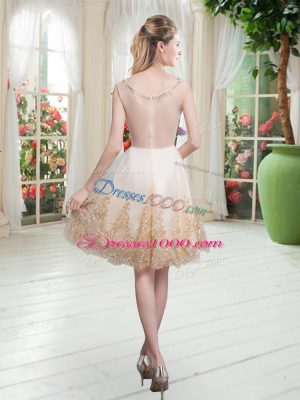 Knee Length A-line Sleeveless Champagne Prom Gown Zipper