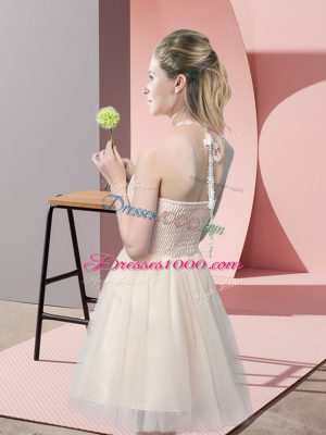 Eye-catching Sleeveless Tulle Mini Length Side Zipper Dress for Prom in Champagne with Lace