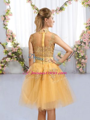Customized Lace and Bowknot Quinceanera Court Dresses Gold Zipper Cap Sleeves Knee Length