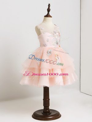 Pink Ball Gowns Appliques Flower Girl Dresses Zipper Tulle Sleeveless Mini Length