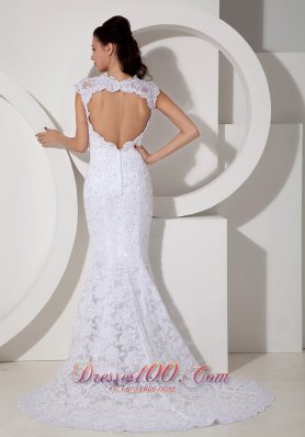 Mermaid V-neck Lace Wedding Dress with Brush Train