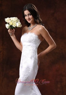 Exquisite lace Wedding Gown Mermaid Style Train