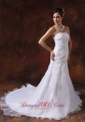 Court Train Embroidery Western brides Wear Dramatic