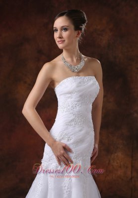 Court Train Embroidery Western brides Wear Dramatic