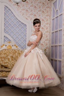 Champagne Strapless Ankle-length Tulle Appliques Wedding Gown