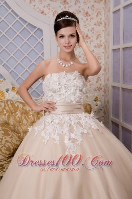 Champagne Strapless Ankle-length Tulle Appliques Wedding Gown