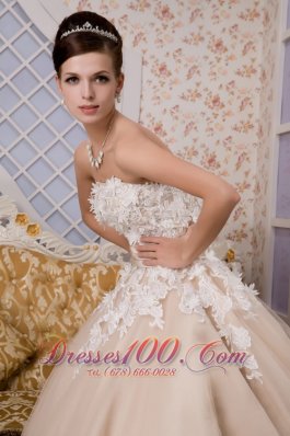 Champagne Strapless Ankle-length Tulle Appliques Wedding Gown