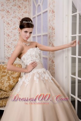 Champagne Strapless Ankle-length Tulle Appliques Wedding Gown