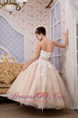 Champagne Strapless Ankle-length Tulle Appliques Wedding Gown