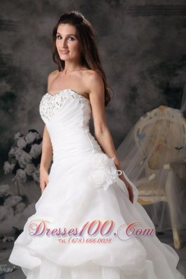 Princess Court Train Wedding Dress with Organza Pick-ups