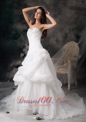 Princess Court Train Wedding Dress with Organza Pick-ups