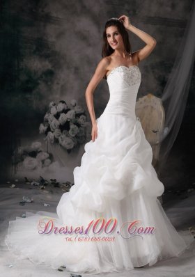 Princess Court Train Wedding Dress with Organza Pick-ups