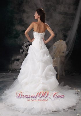 Princess Court Train Wedding Dress with Organza Pick-ups