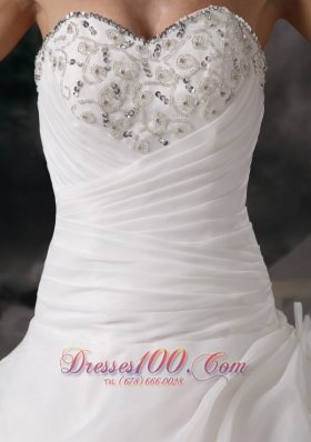 Princess Court Train Wedding Dress with Organza Pick-ups