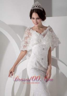 Unique Column V-neck Lace Bridal Dress