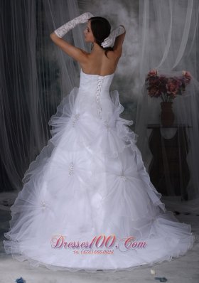 Gorgeous Strapless Taffeta and Organza Wedding Dress