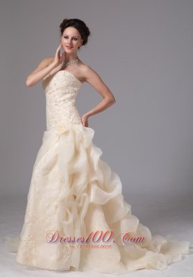 Champagne Embroidery Floral Jessie Wedding Dress