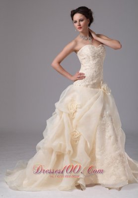 Champagne Embroidery Floral Jessie Wedding Dress