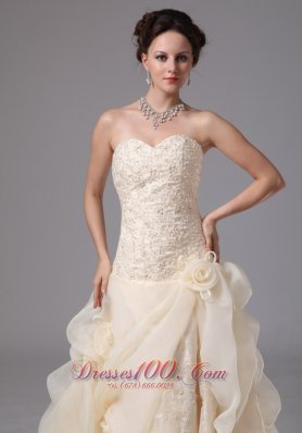 Champagne Embroidery Floral Jessie Wedding Dress