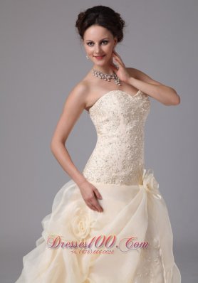 Champagne Embroidery Floral Jessie Wedding Dress