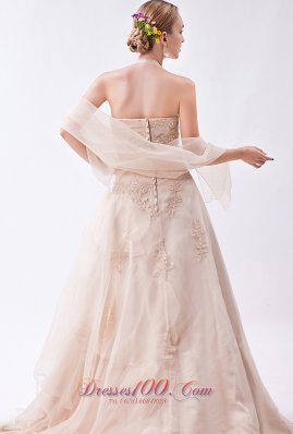 Halter Champagne Organza Appliques Prom Dress