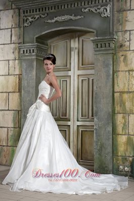 Strapless Organza Princess Appliques Chapel Train Wedding Gown