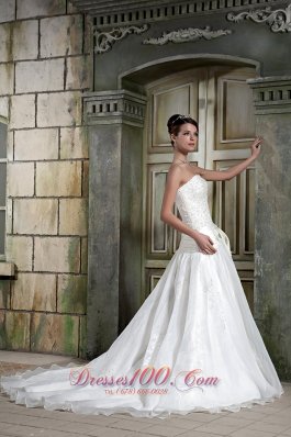 Strapless Organza Princess Appliques Chapel Train Wedding Gown