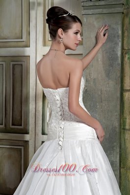 Strapless Organza Princess Appliques Chapel Train Wedding Gown