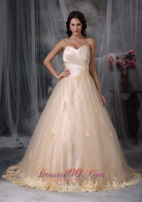 Champagne Sweetheart Bridal Wedding Dress Embroidery