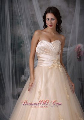 Champagne Sweetheart Bridal Wedding Dress Embroidery