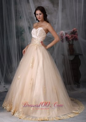 Champagne Sweetheart Bridal Wedding Dress Embroidery