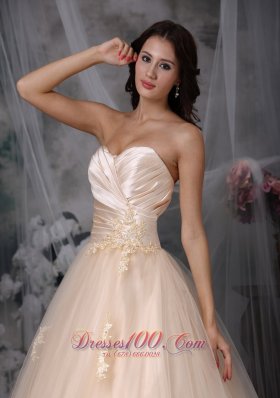 Champagne Sweetheart Bridal Wedding Dress Embroidery