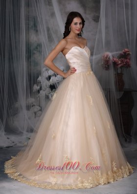 Champagne Sweetheart Bridal Wedding Dress Embroidery