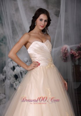 Champagne Sweetheart Bridal Wedding Dress Embroidery