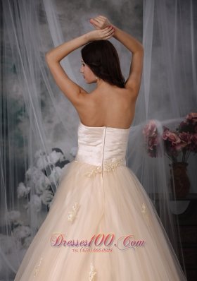 Champagne Sweetheart Bridal Wedding Dress Embroidery