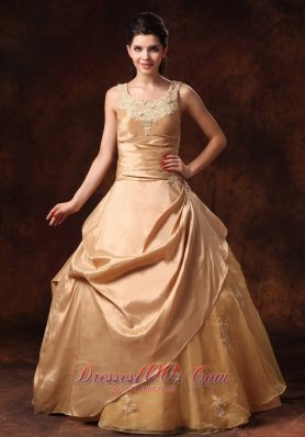 Champagne Taffeta Organza Straps Appliques Bridal Dress Scoop