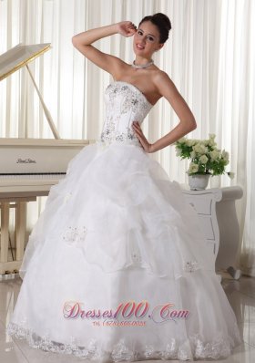 Beaded Pick-ups Ball Gown Bridal Gown Strapless Organza