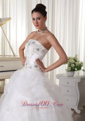 Beaded Pick-ups Ball Gown Bridal Gown Strapless Organza