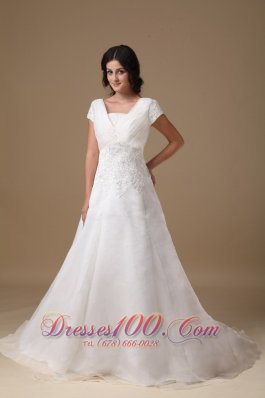 Organza and Taffeta Wedding Gown V-neck Appliques Court Train