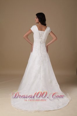 Organza and Taffeta Wedding Gown V-neck Appliques Court Train