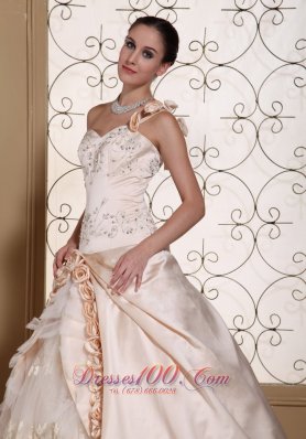 Champagne One Shoulder Bridal Dress Hand Made Flowers Embroidery