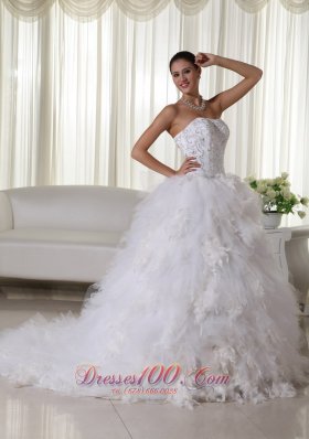 Chapel Train Strapless Embroidery Wedding Dress Satin and Organza