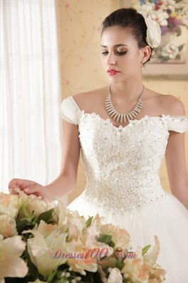 Off The Shoulder Ball Gown Tulle Appliques Wedding Dress